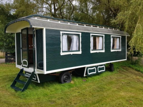 Gipsy Home, Nieuwleusen